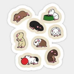 Guinea Pigs Sticker